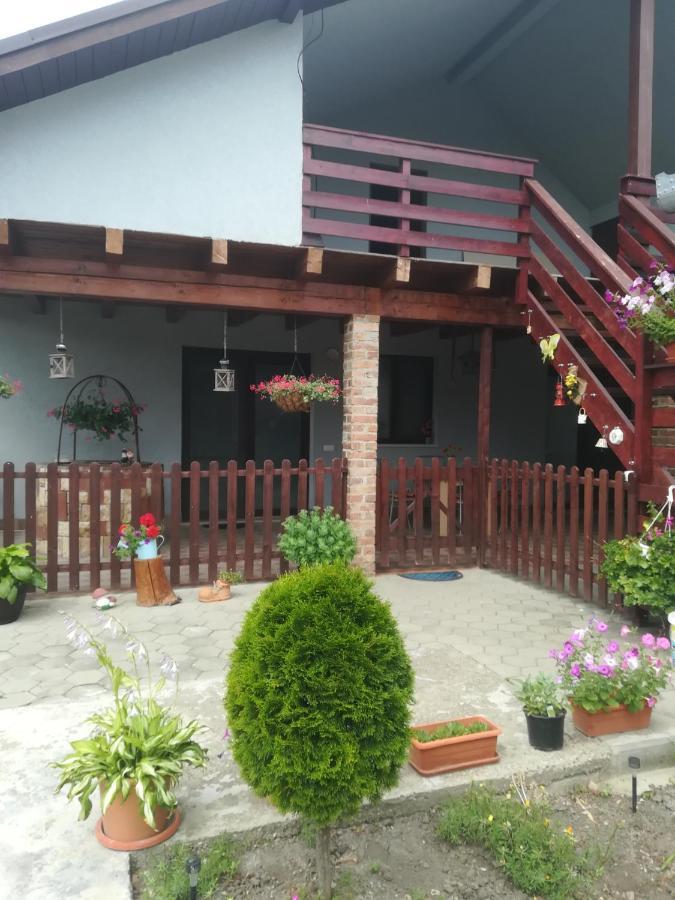 Vila Casa Ricciotti Tritenii de Jos Exteriér fotografie