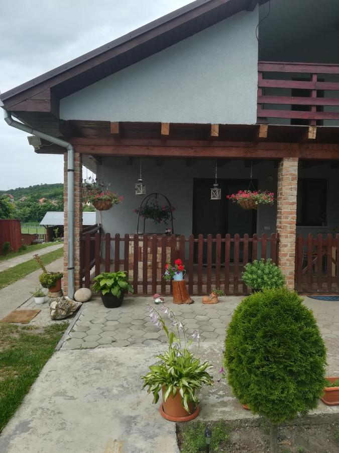 Vila Casa Ricciotti Tritenii de Jos Exteriér fotografie