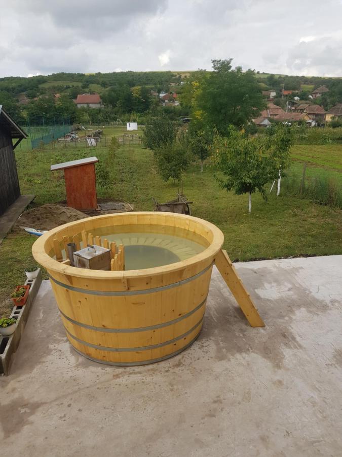 Vila Casa Ricciotti Tritenii de Jos Exteriér fotografie
